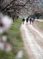 /album/fotogaleria-inicio/almedros-006-jpg/
